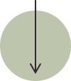 down arrow